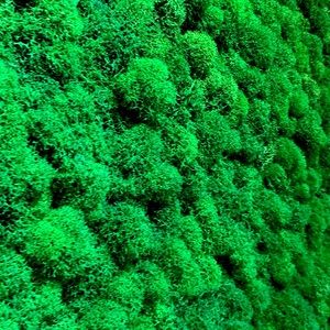 Meet your Posher, Kylie